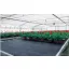 Agro tkanina črna 100g/m2 4,2mx100m