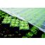 Folija iz gaze 2x10 m 19gr/m2
