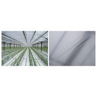 Folija TVK 10x100m 0,09 Notranji UV S1B