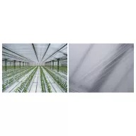  Folija TVK 12x100m 0,06 Notranji UV-zaščita pred kapljicami S1BC