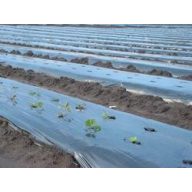 Folija TVK 12x45m 0,18 Črna UV 1 leto S1F