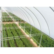 Film TVK 12x60m 0,15 UV 2 leti S2N