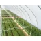 Film TVK 12x60m 0,15 UV 2 leti S2N