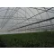 Film TVK 16x45m 0,15 UV 1 leto S1N