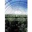 Film TVK 16x52m 0,15 UV 2 leti S2N