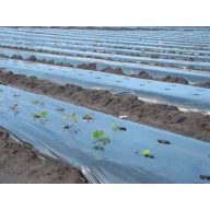 Folija TVK 6,5x60m 0,12 črna TOAFR