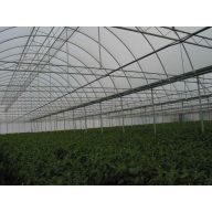 Folija TVK 8,5x60m 0,12 Natur SON