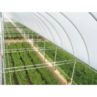 Film TVK 8,5x60m 0,17 UV 3 leta S3N