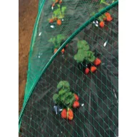 Mreža Birdnet HDPE 2x10m (18X18 mm)