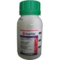 Quadris 0,2 l
