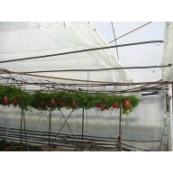 Rašelinska mreža bela 6x50m 50g/m2 (65%)