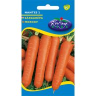 Korenje srednjeveški Nantes 2 5g