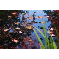 Mreža za liste 4x6 m