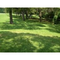 Travno seme ELKA obnovitvena mešanica 10 kg