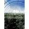 Film TVK 6x60m 0,15 UV 1 leto S1N