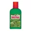 Substralna hranilna raztopina za zelene rastline, praproti 0,5 l