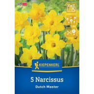 Cvetna čebulica narcisa Dutch Master Kiepenkerl 5 kosov