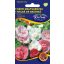 Garden Raspberry Rose barvna mešanica 0,5 g