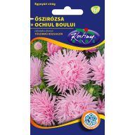 Daisy Needle cvetni listič roza 1g