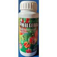 Amalgerol 0,2 l