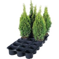 Super pladenj za 18 loncev 19-21 cm