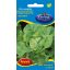 Zelena solata Zimska maslena glava 2,5g