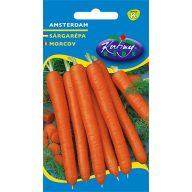 Korenje zgodaj Amsterdam 4 g