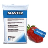 Master 20-20-20+TE 10 kg