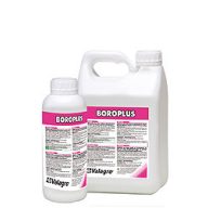Boroplus 1 l