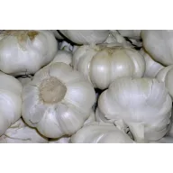 Dughagyma Česen 5 kg