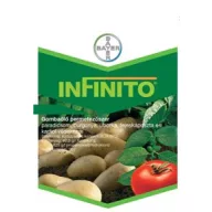 Infinito 1l