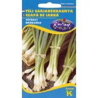 Zimska čebula Bajkál 2g