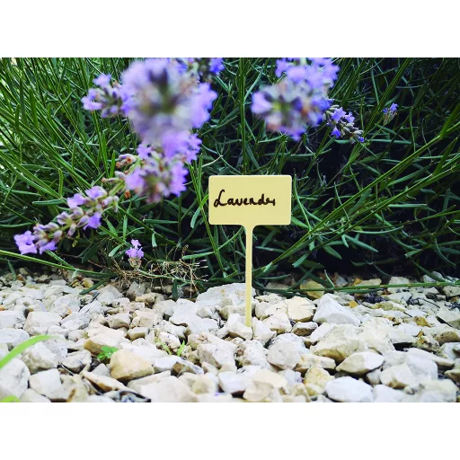 Označevalnik Label 13+ s flomastrom 10 kosov