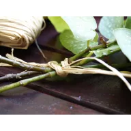 Vezivo rafija naravno 500g