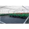 Agro tkanina črna 100g/m2 1,6x10m