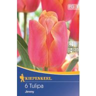 Cvetlična žarnica Tulip Triumf Jimmy, 6pcs Kiepenkerl