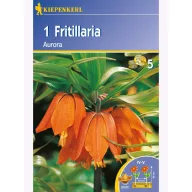 Cesarska krona Kiepenkerl Aurora 1 kos