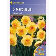 Čebulice narcisov Kiepenkerl Moderna umetnost 5 kosov