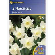 Čebulice narcisov Kiepenkerl Mount Hood 5 kosov