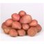 Krompirjev semenski gomolj "Desirée" 50 kosov