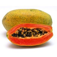 Papaja (Carica Papaya) 5 zrn