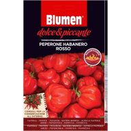   Rdeča paprika habanero - izjemno pekoča Cvet (približno 10-20 semen)