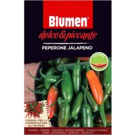 Jalapeno feferoni - pekoči cvetovi (približno 10-20 semen)