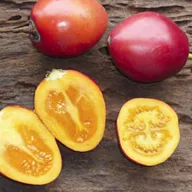 Tamarillo (Solanum betaceum) 5 zrn