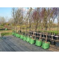 Posoda za tkivo (vrtec) poljski 20 l