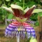 Sladki lovec (Passiflora maliformis) 5 semen