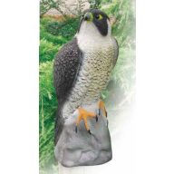 Slika ptičjega alarma "Sokol"