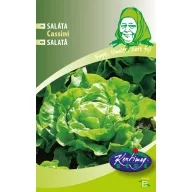Zelena solata Cassini 3g