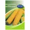 Sladka koruza Noa F1 50 zrn