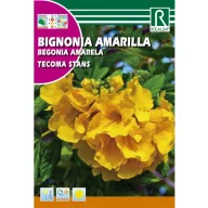 Grm rumene trobente (Tecoma stands) Rocalba 1 g